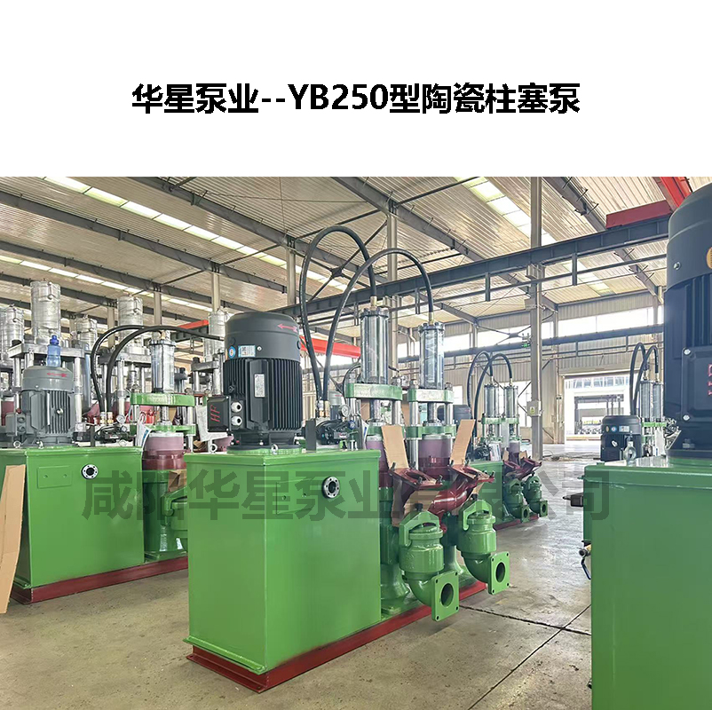 YB250節能型陶瓷柱塞泵-02 YB250節能型陶瓷柱塞泵-02